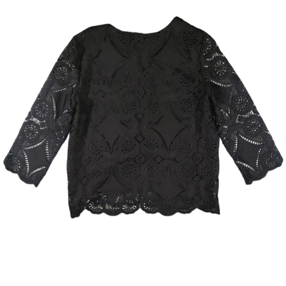 NWT DREW Lace Pointelle Kint V-Neck Top Size L - Picture 8 of 8